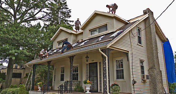 Best Flat Roof Repair Services  in Colstrip, MT
