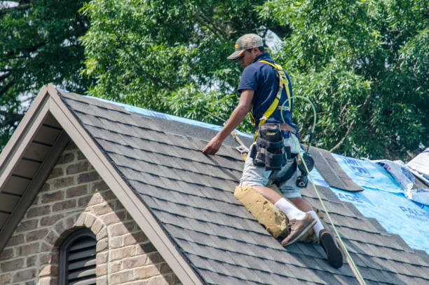 Best Shingle Roofing Installation  in Colstrip, MT